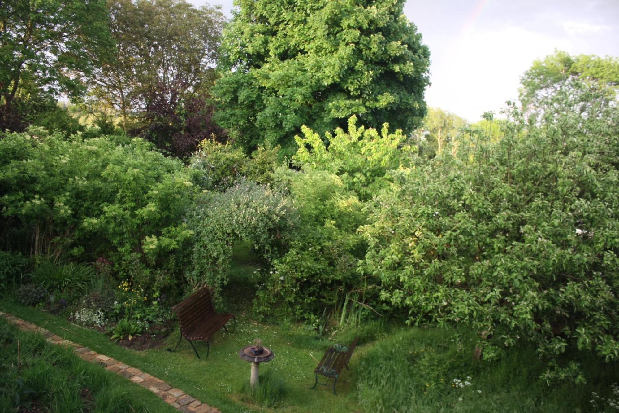 Sandford Meadow Guest House Kennington  Extérieur photo