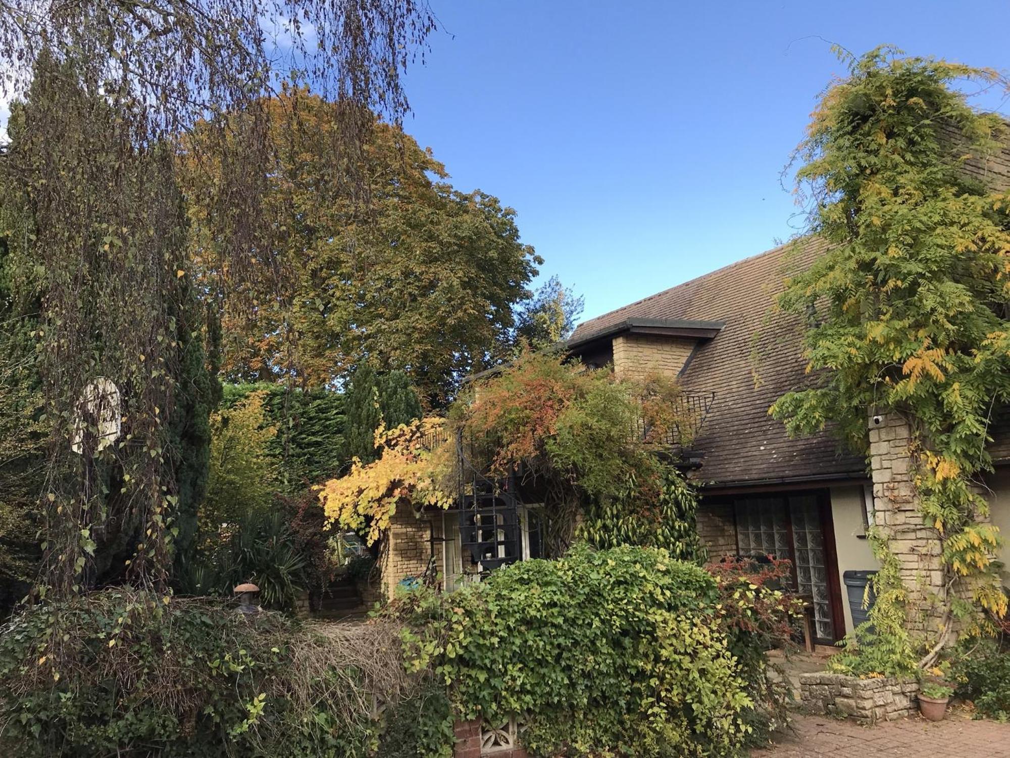 Sandford Meadow Guest House Kennington  Extérieur photo